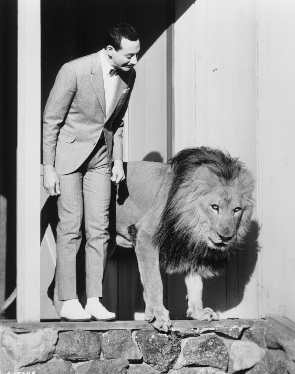 ピーウィー・ハーマンの空飛ぶサーカスの画像