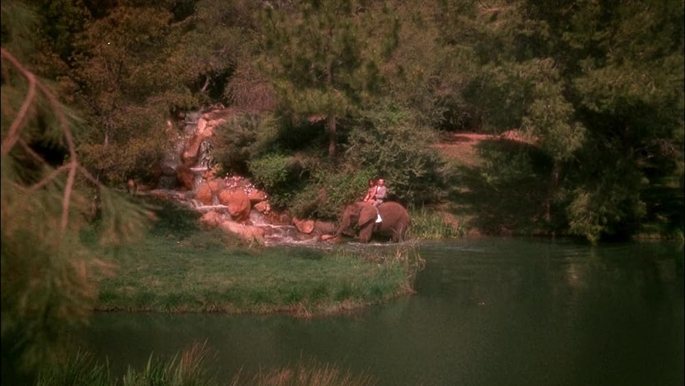 ピーウィー・ハーマンの空飛ぶサーカスの画像