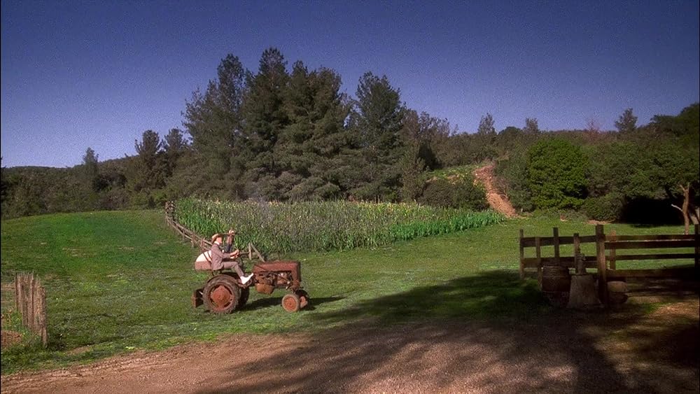 ピーウィー・ハーマンの空飛ぶサーカスの画像