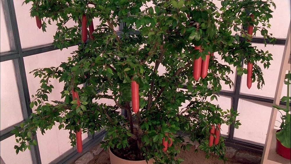 ピーウィー・ハーマンの空飛ぶサーカスの画像