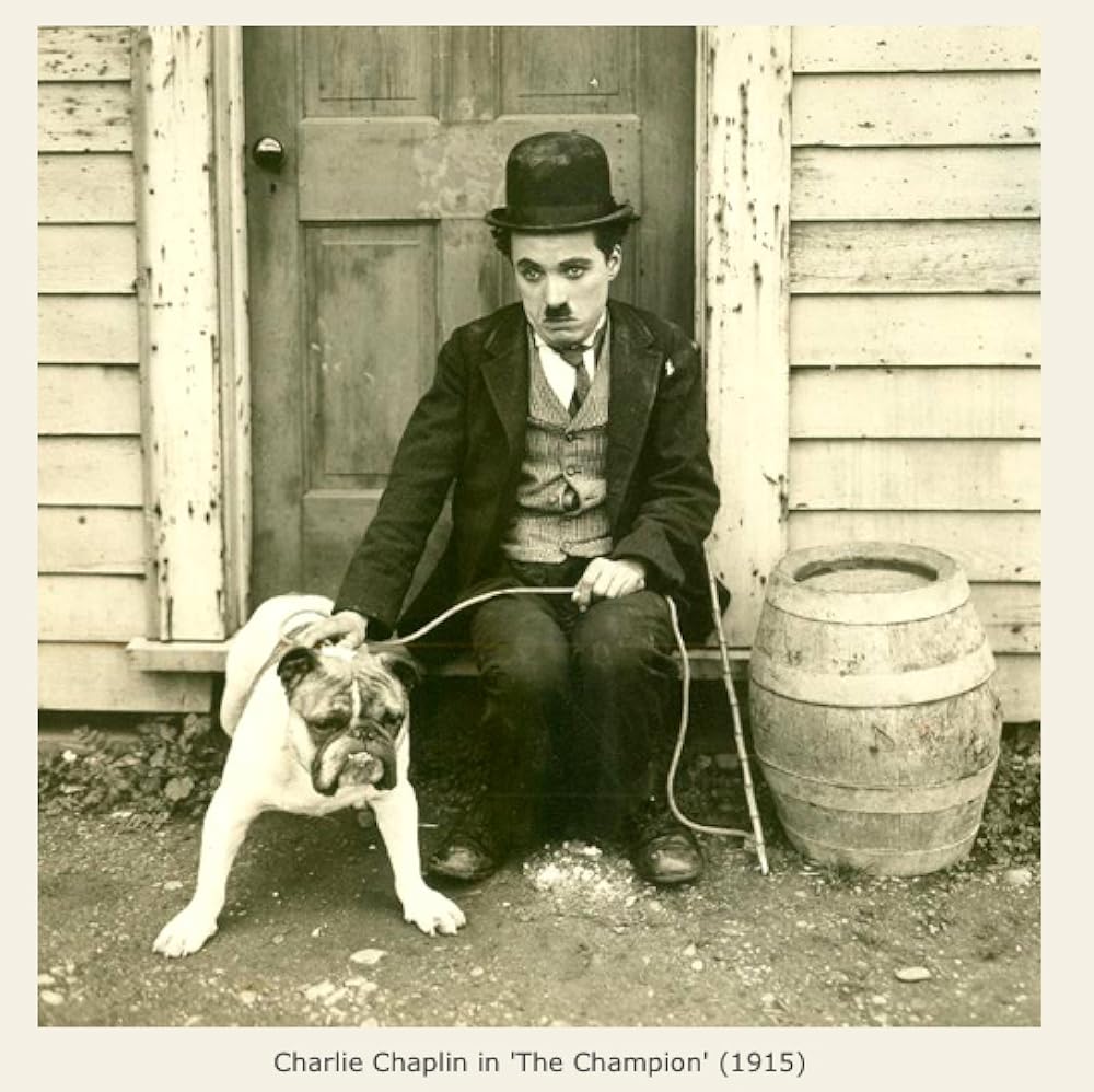 チャップリンの拳闘の画像