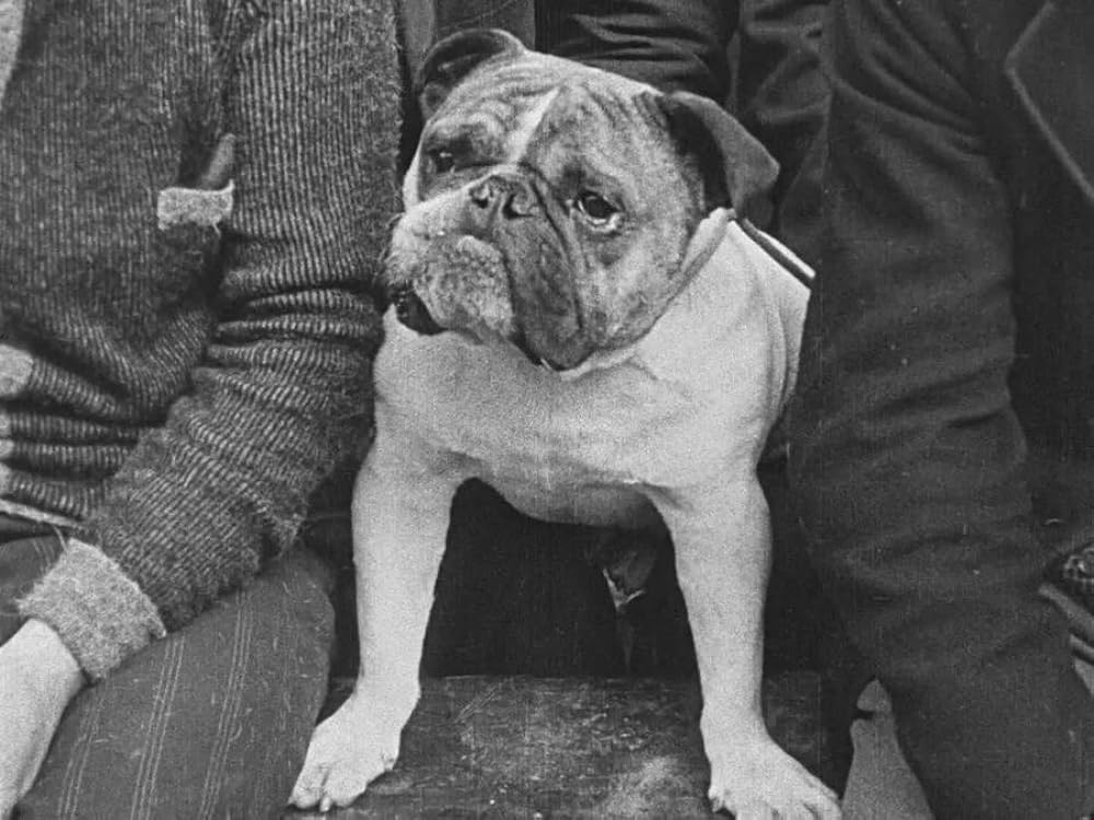 チャップリンの拳闘の画像