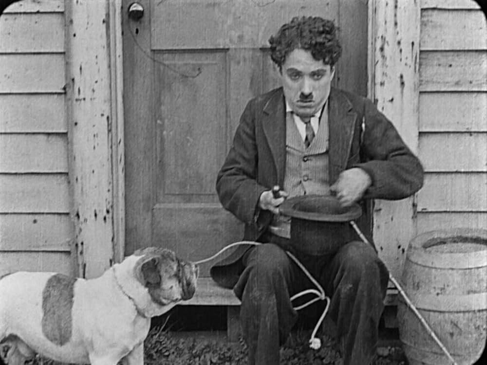 チャップリンの拳闘の画像