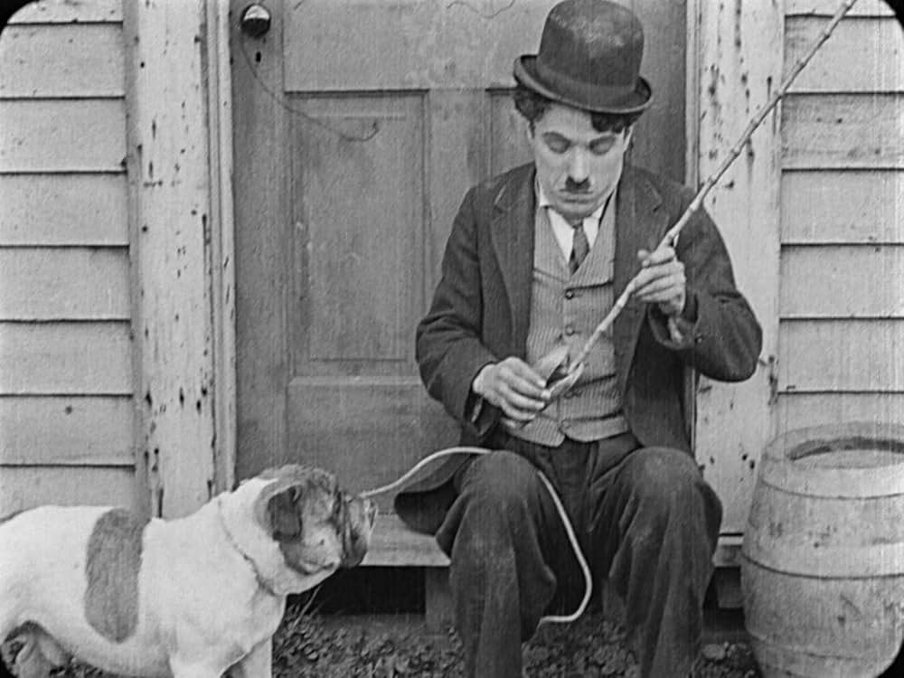 チャップリンの拳闘の画像