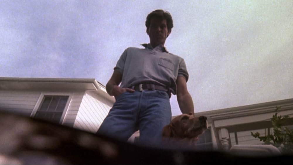 ライブ・ワイヤーの画像