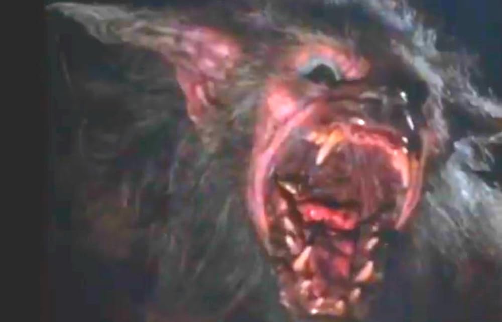 ハウリング IVの画像