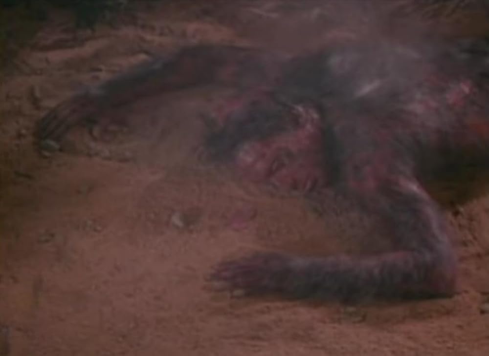 ハウリング IVの画像