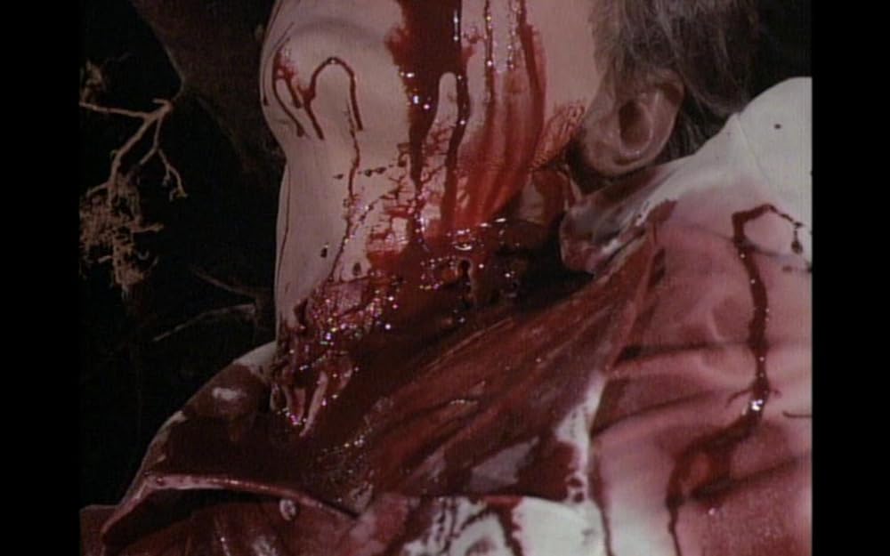 ハウリング IVの画像