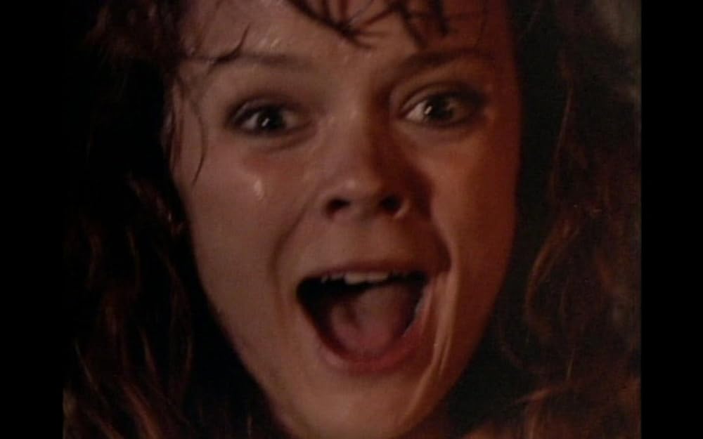 ハウリング IVの画像