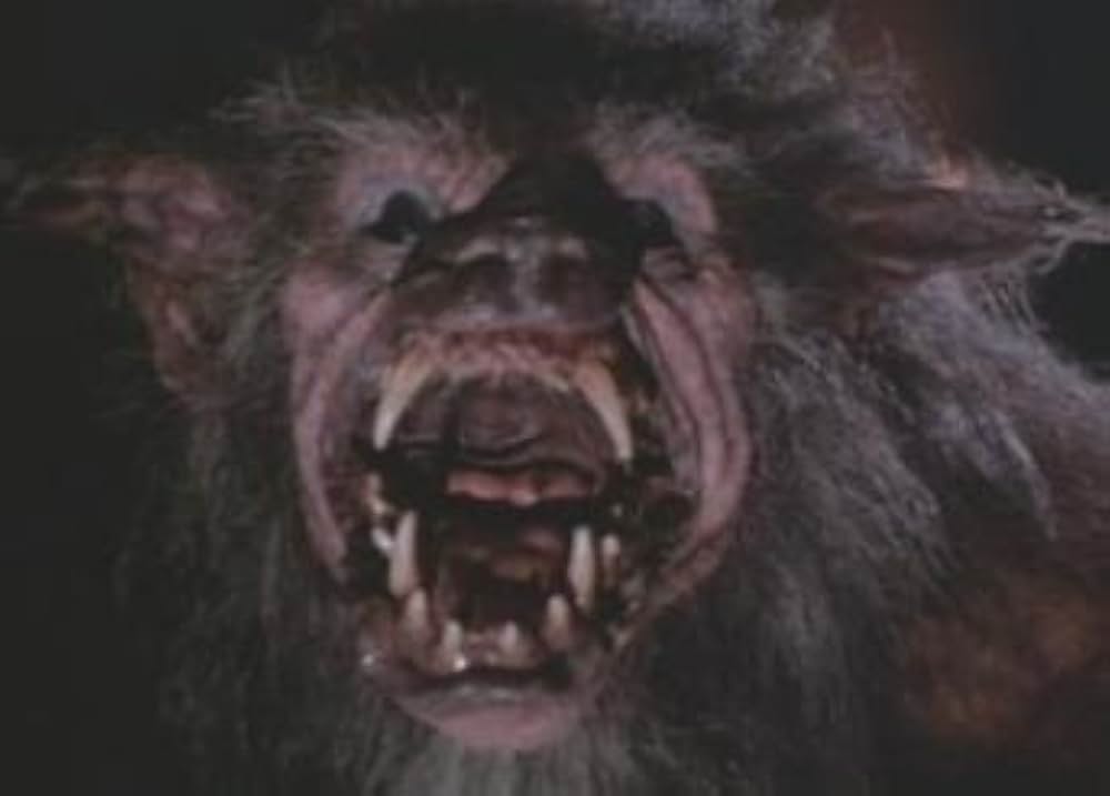 ハウリング IVの画像