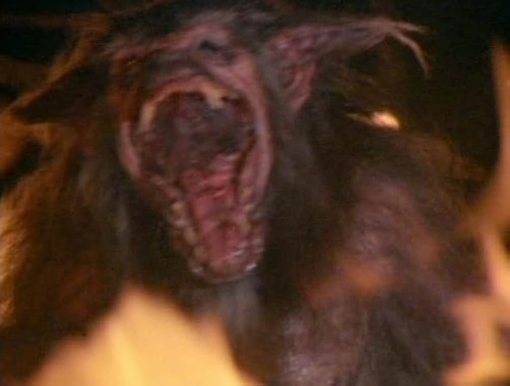 ハウリング IVの画像