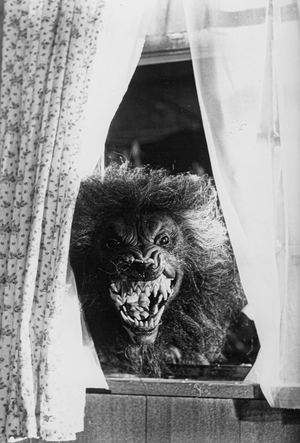 ハウリング IVの画像