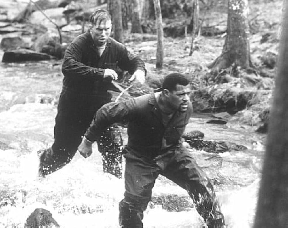 F.L.E.D.／フレッドの画像