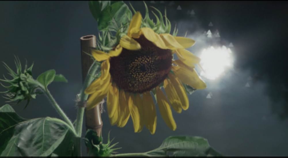 鬼龍院花子の生涯の画像