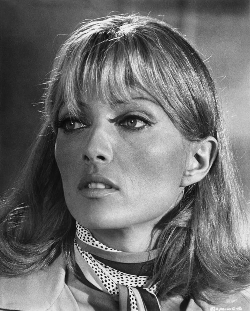 殺意の週末の画像