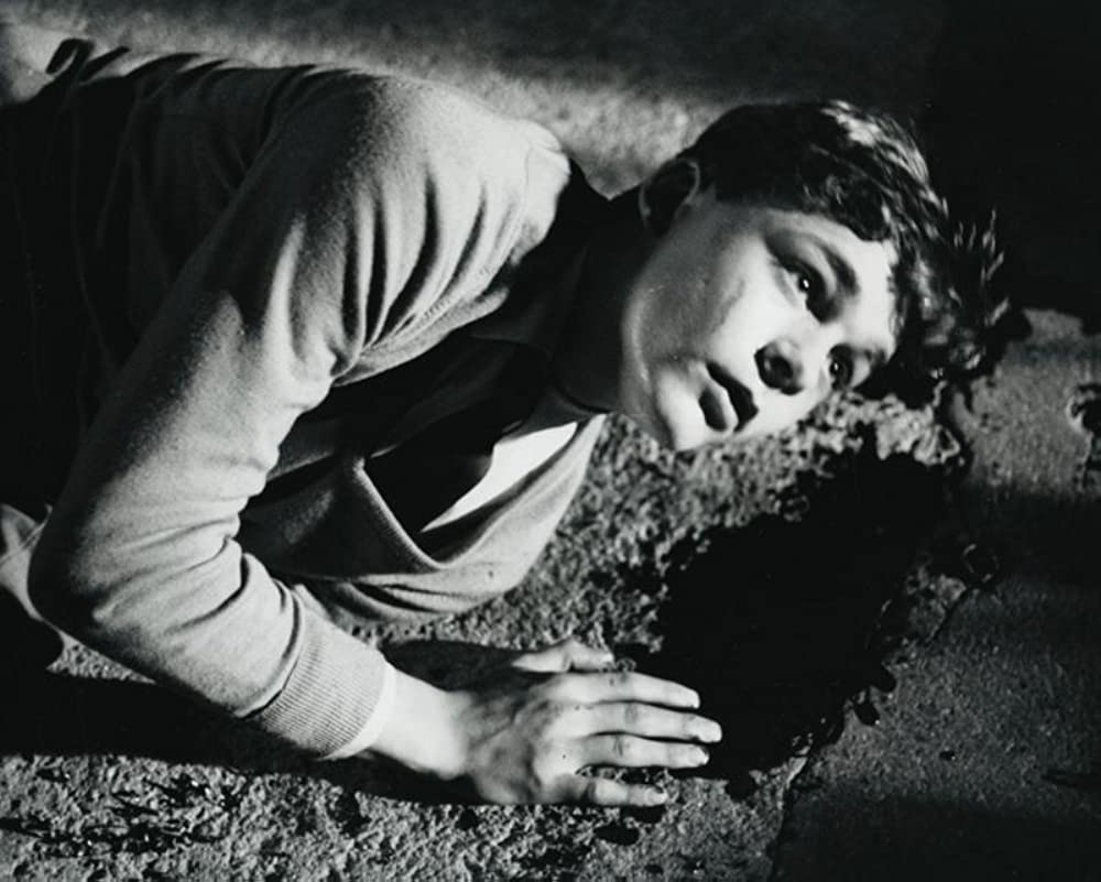 子供たちの城の画像