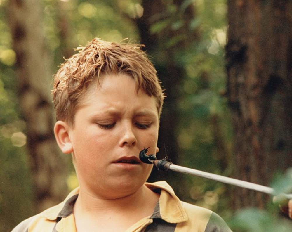 子供たちの城の画像