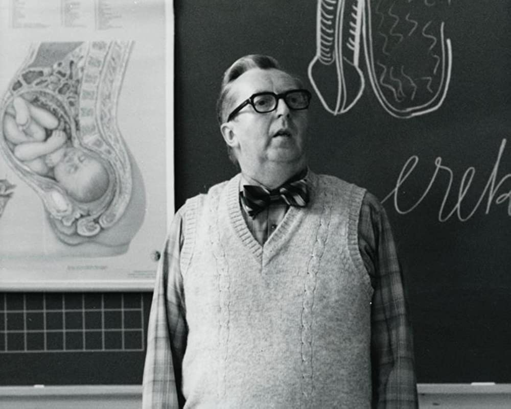 子供たちの城の画像