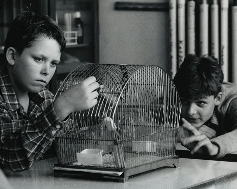 子供たちの城の画像