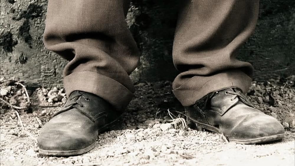 僕の大事なコレクションの画像