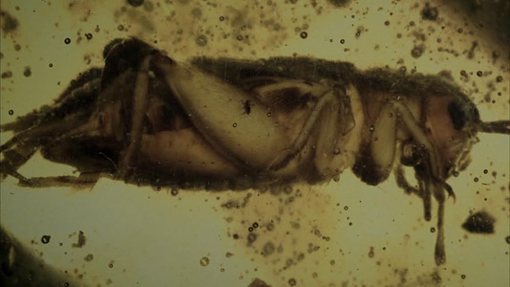 僕の大事なコレクションの画像