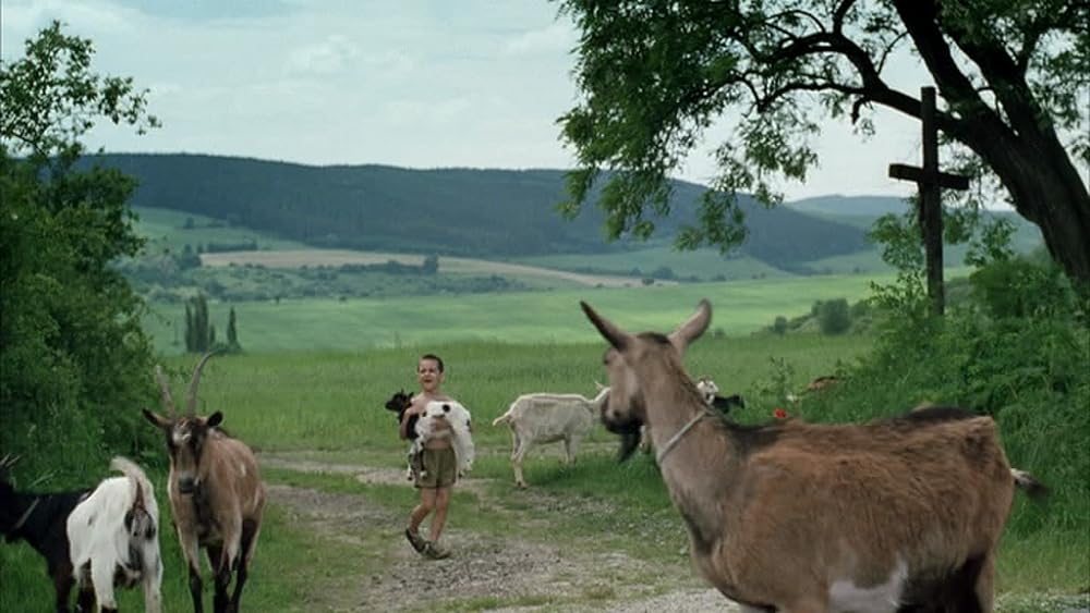 僕の大事なコレクションの画像