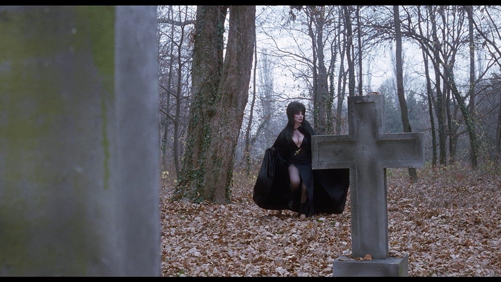 帰ってきたエルヴァイラの画像