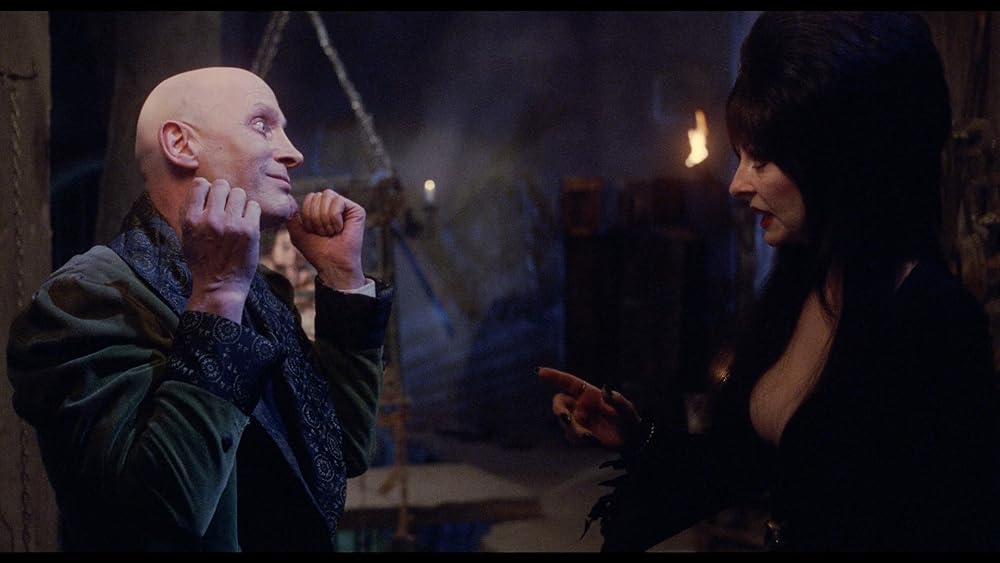 帰ってきたエルヴァイラの画像