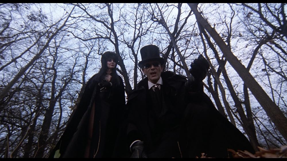 帰ってきたエルヴァイラの画像