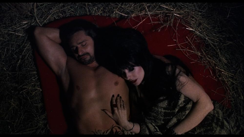 帰ってきたエルヴァイラの画像