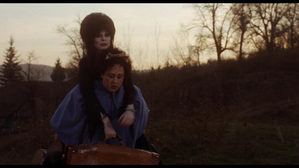 帰ってきたエルヴァイラの画像