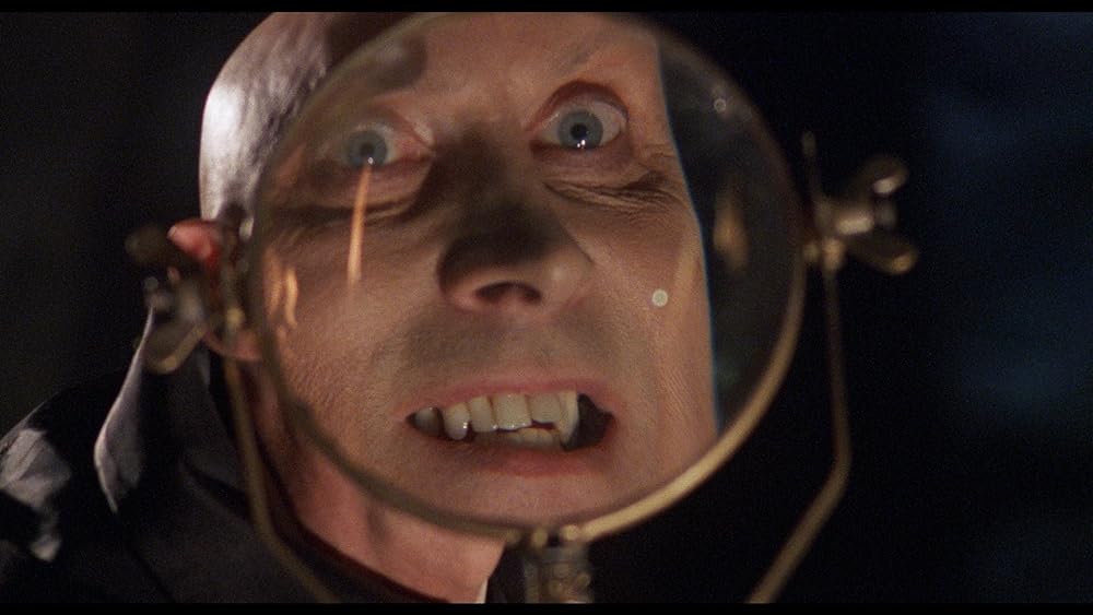 帰ってきたエルヴァイラの画像