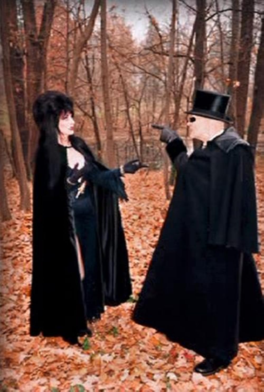 帰ってきたエルヴァイラの画像