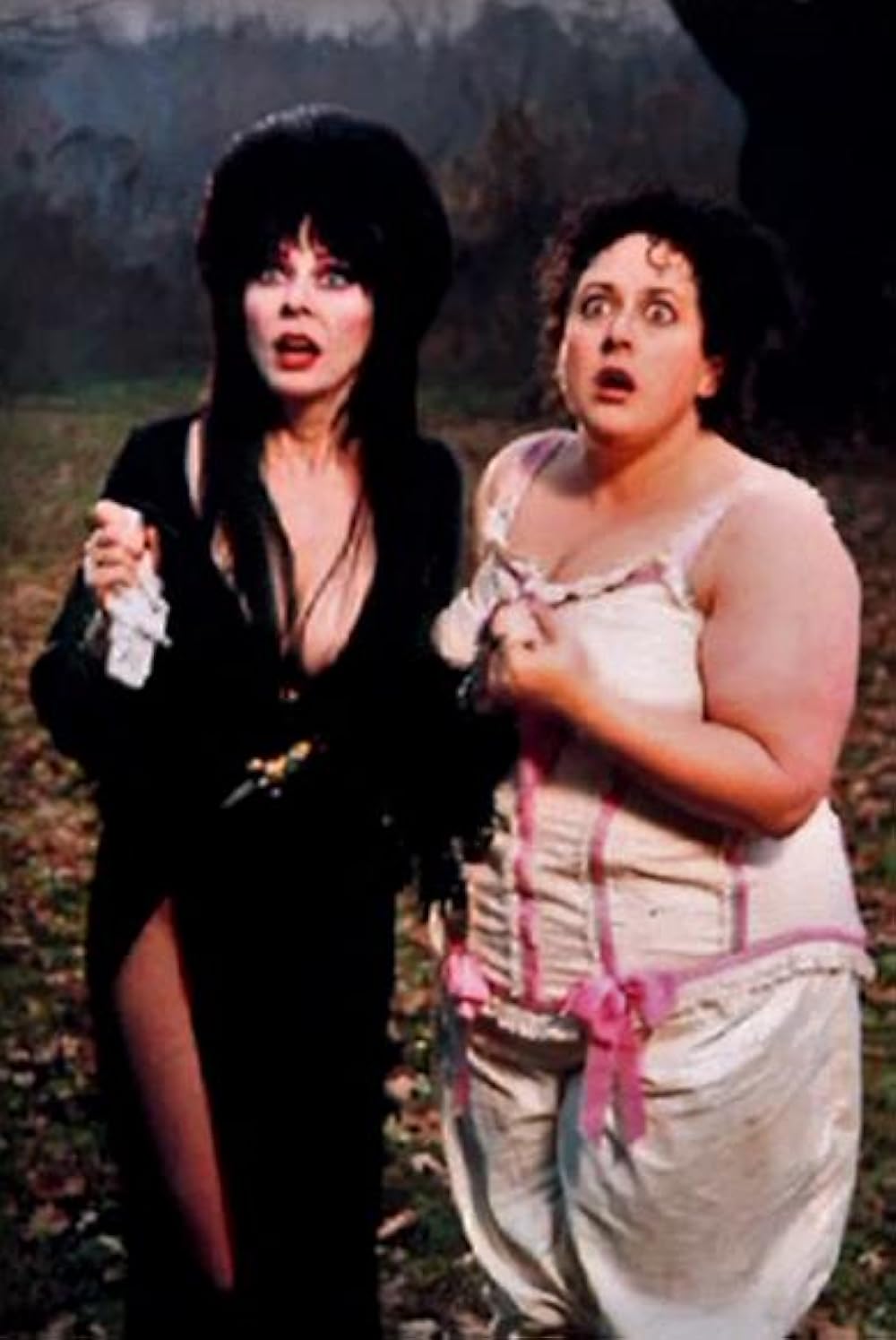 帰ってきたエルヴァイラの画像