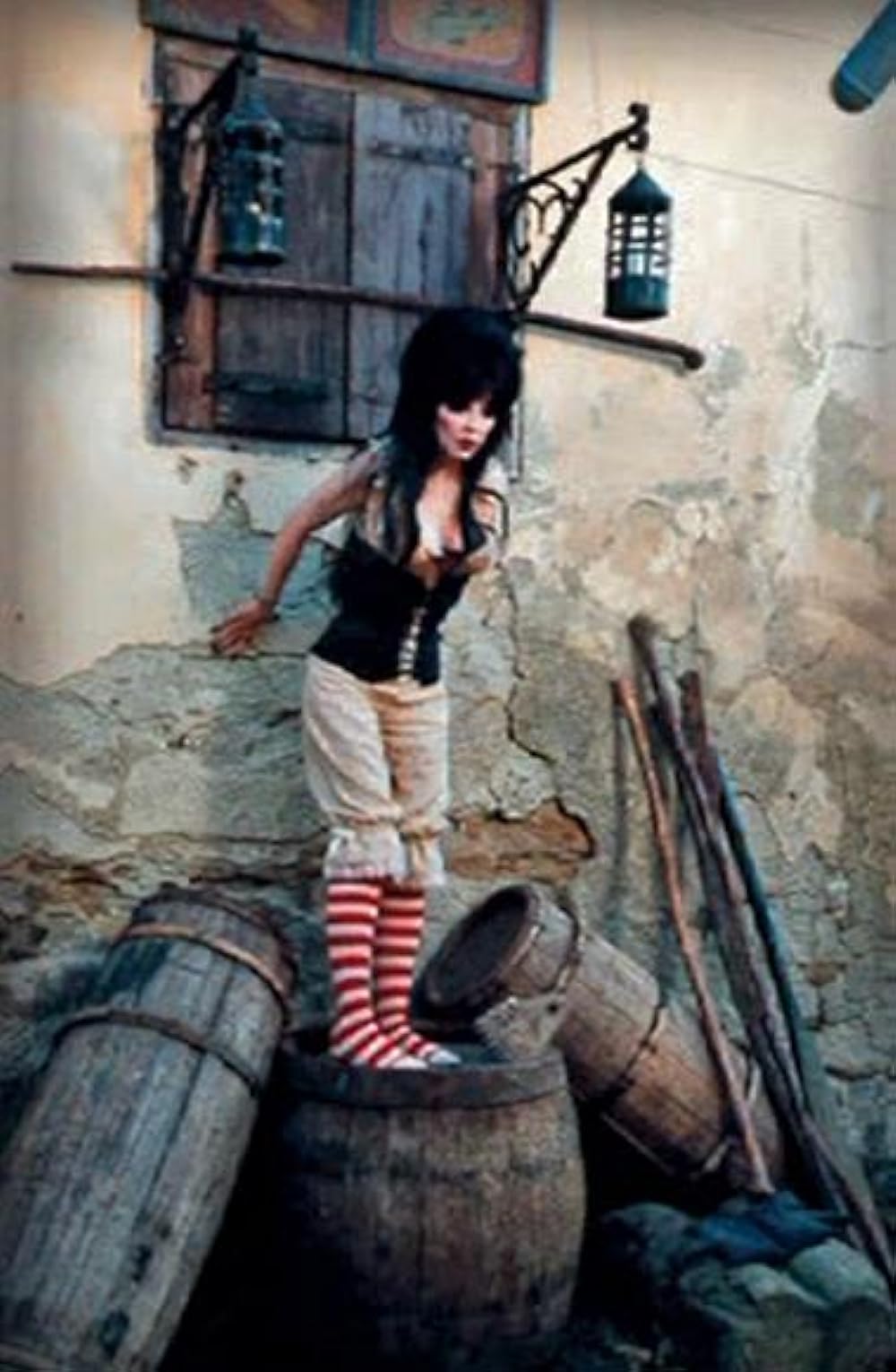 帰ってきたエルヴァイラの画像