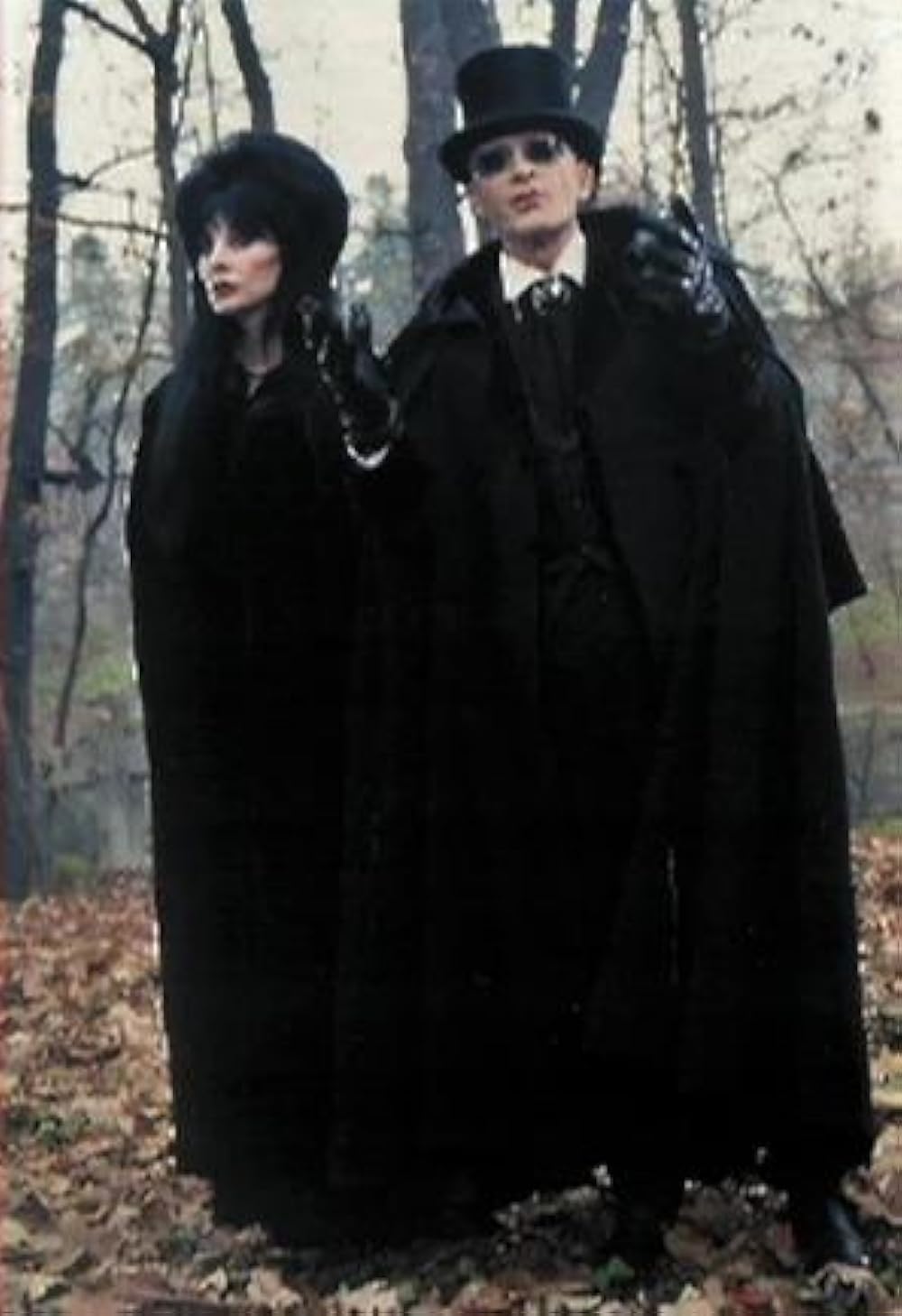 帰ってきたエルヴァイラの画像