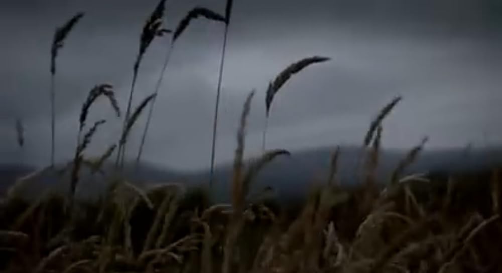 ミート・オブ・ザ・デッドの画像