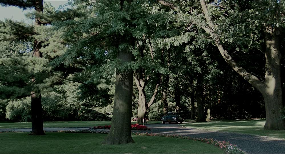 キング・オブ・コメディの画像