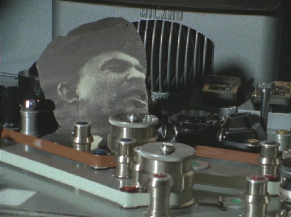 ウラジミールとローザの画像