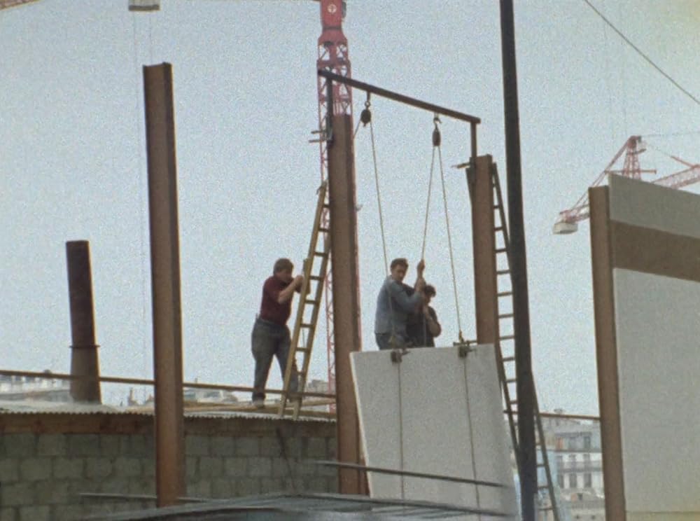 ウラジミールとローザの画像