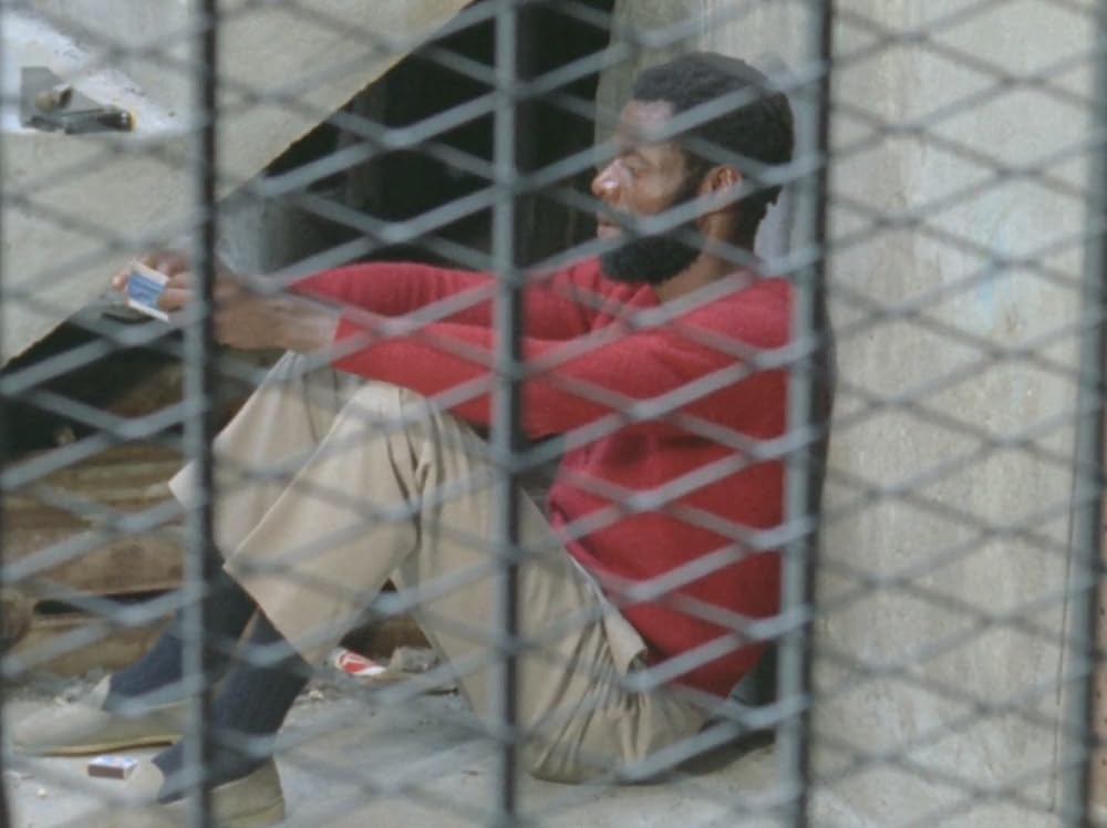 ウラジミールとローザの画像