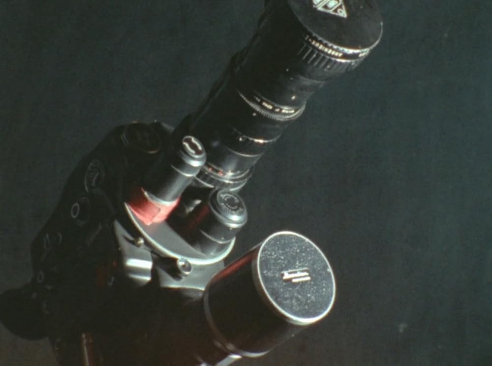 ウラジミールとローザの画像