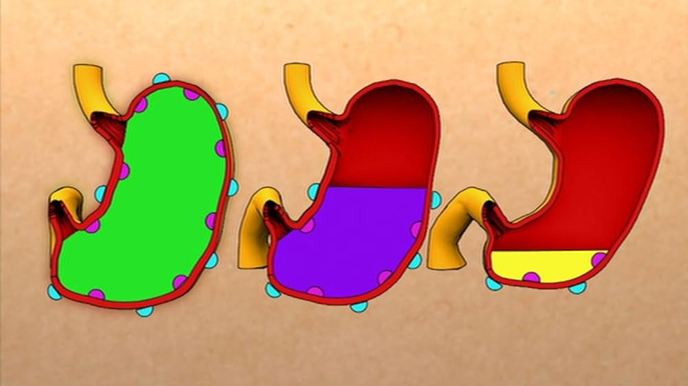 フォークス・オーバー・ナイブズ-いのちを救う食卓革命の画像