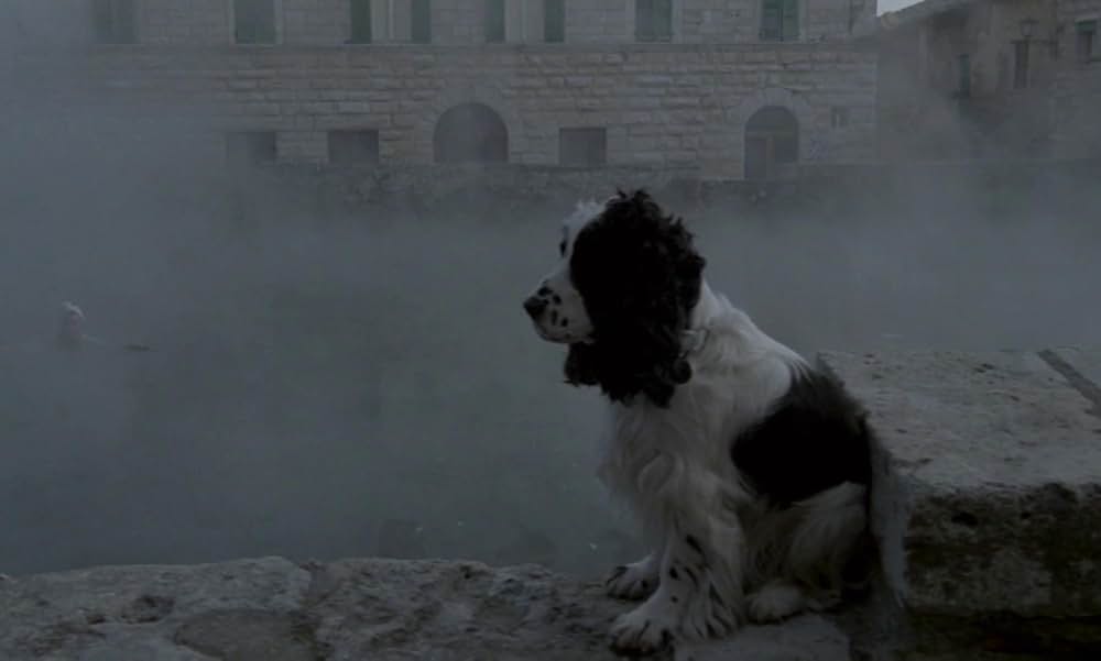 ノスタルジアの画像