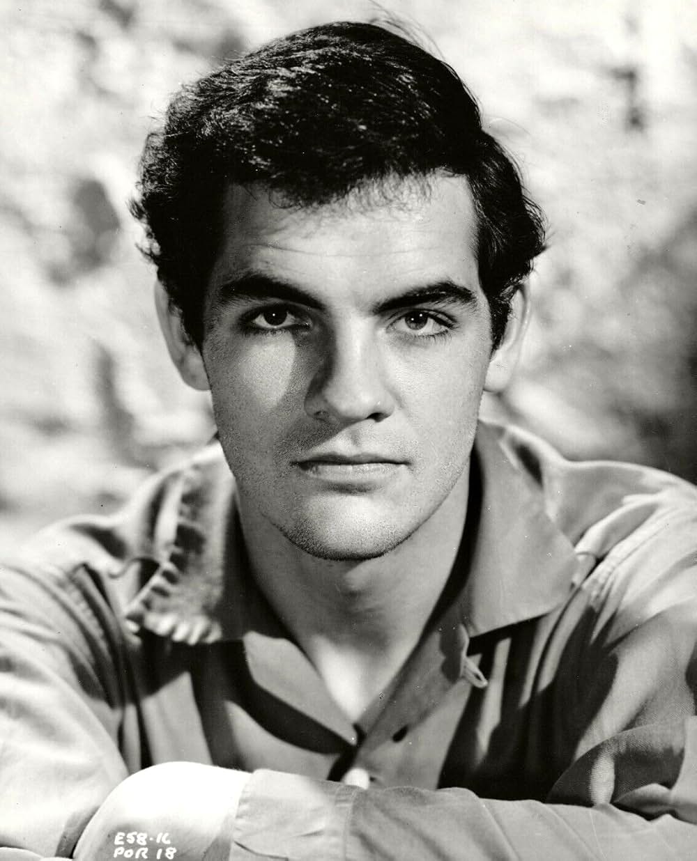 怒りを込めて振り返れの画像