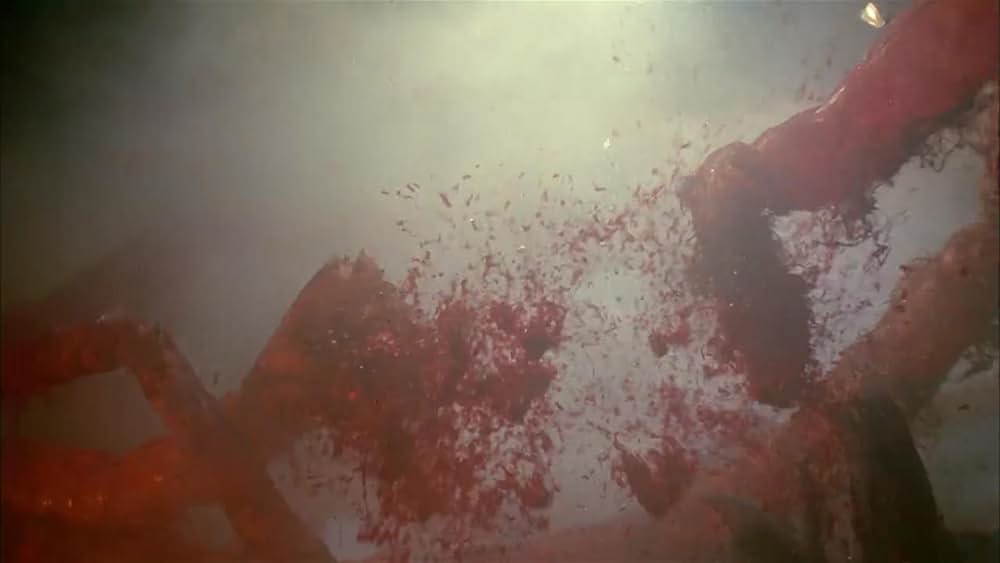 チャイニーズ・オデッセイ Part1 月光の恋の画像