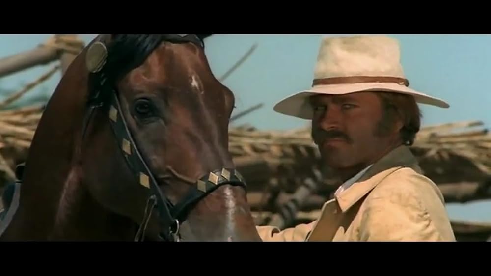 ガンマン大連合の画像