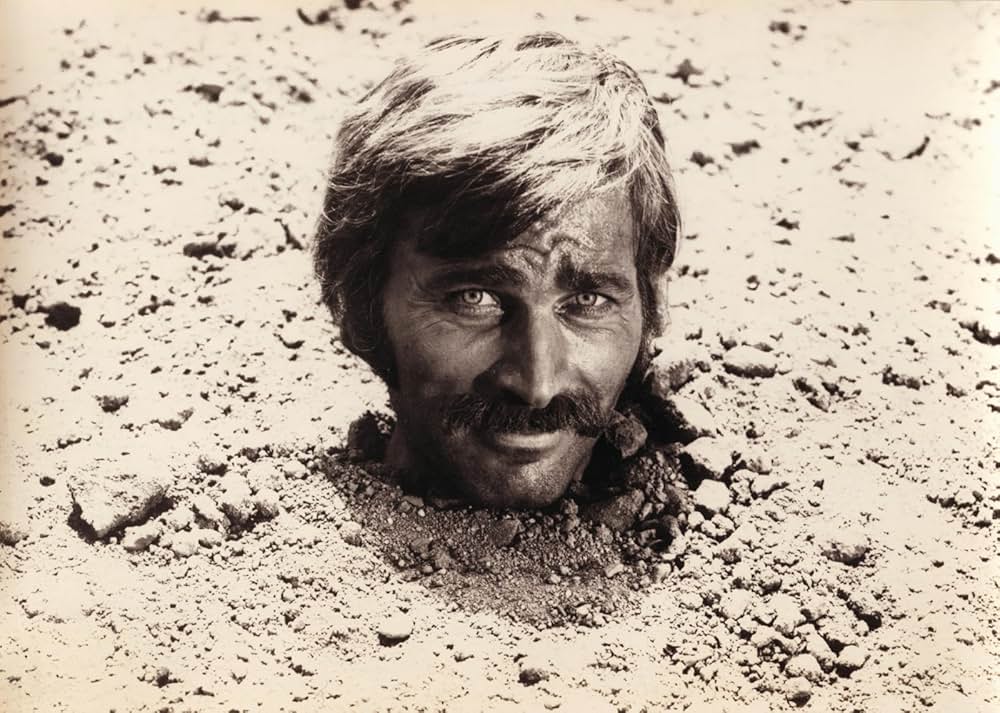 ガンマン大連合の画像