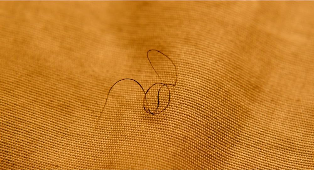 Life during Wartime（原題）の画像