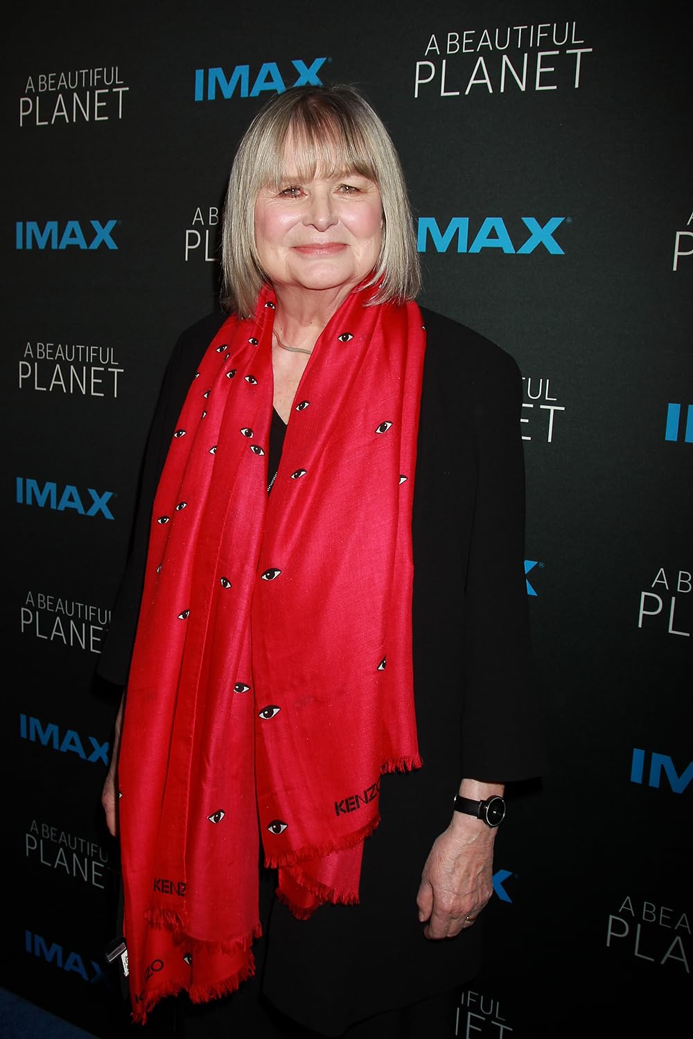 ア・ビューティフル・プラネット（原題）の画像